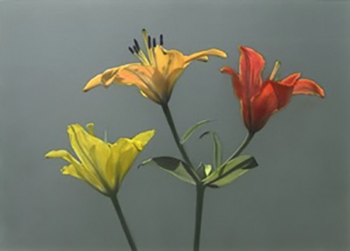 Three Lilies