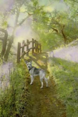 Lacey on the Path (Sold)